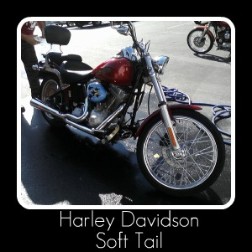 Harley Davidson Soft Tail